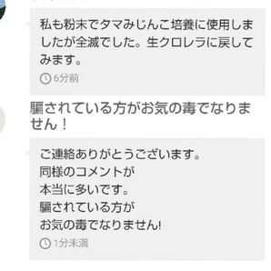 ★送料無料★韓国製の隔週入荷の原液や粉末とは効果が全く違います★SuperExcellent生クロレラ原液詰め替え用40mlの画像5