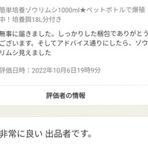 史上最強★絶対の自信あり★密度が違います★簡単培養ゾウリムシ800ml★ペットボトルで爆殖中！生クロレラも出品中！_画像6