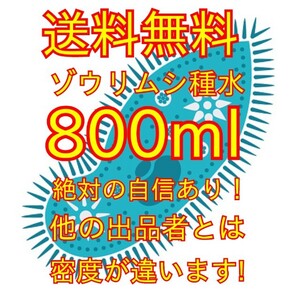 史上最強★絶対の自信あり★密度が違います★簡単培養ゾウリムシ800ml★ペットボトルで爆殖中！生クロレラも出品中！