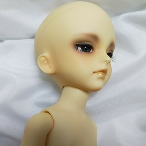 幼SD 男の子 梵天丸 2012 HTドルパ仙台限定 ボークス スーパードルフィーの画像5