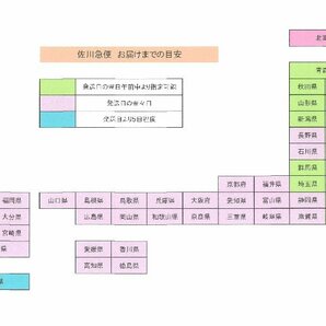 玄米 30kg 令和５年産 会津 ひとめぼれ 大袋（精米・小分け不可）東北関西 送料無料 石抜 色選処理済 調製玄米の画像5