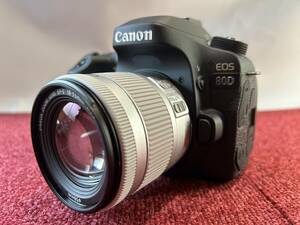 【キャノン】Canon EOS 80D +ZOOM LENS EF-S 18-55mm 1:4-5.6 IS STM 