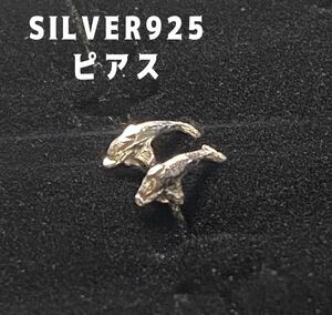 YQねPBいA　シルバー925 ピアス　SILVER925銀ピアス　イルカ動物ギフト　YQいA6