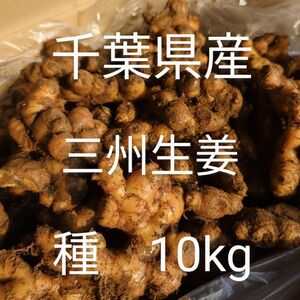 千葉県産　三州生姜　種生姜　10kg 小生姜