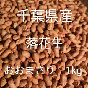 千葉県産 おおまさり 1kg 手むき 乾燥生落花生