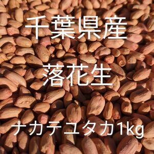 千葉県産 県内発送 ナカテユタカ 1kg 手むき 乾燥生落花生