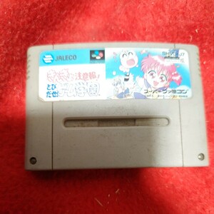 スーパーファミコンソフト！！きんぎょ注意報！！とびだせ！ゲーム学園