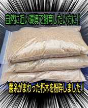 クヌギの朽木粉砕マット【20L】自然の栄養素たっぷり！産卵木の埋め込みに！天然に近い環境で育てたい方にお薦め！幼虫の餌、成虫飼育に！_画像7