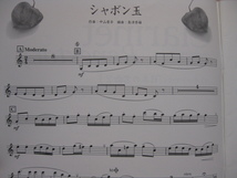 クラリネットレパートリー コンサートで吹く 日本の名曲２_画像6