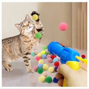ne. Chan ball pompompon.. toy ball .... house cat motion 