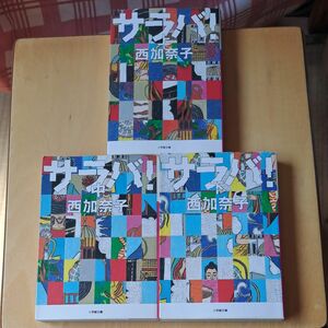 サラバ！　上中下 （小学館文庫　に１７－６） 西加奈子／著