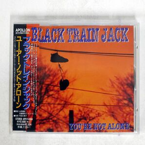 BLACK TRAIN JACK/YOU’RE NOT ALONE/APOLLON INTERNATIONAL APCY-8184 CD □の画像1