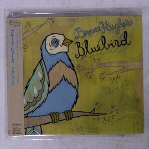 BRUCE HUGHES/BLUEBIRD/FREEDOM FR1039 CD □の画像1