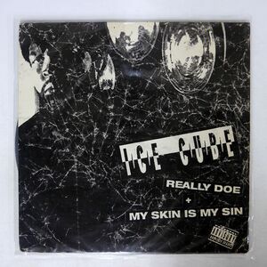 米 ICE CUBE/REALLY DOE MY SKIN IS MY SIN/PRIORITY PVL53843 12