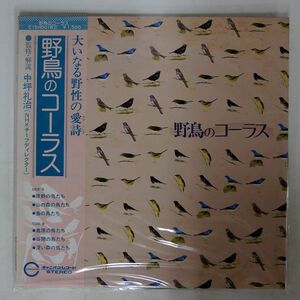 帯付き NO ARTIST/野鳥のコーラス/CANYON C15H0016 LP