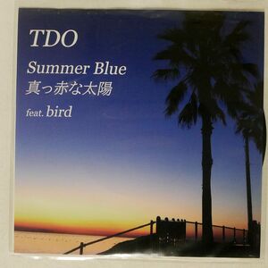 TDO/SUMMER BLUE/BRICKWALL BWEP-0015 7 □