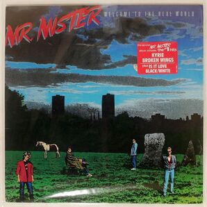 米 MR.MISTER/WELCOME TO THE REAL WORLD/RCA AFL7180 LPの画像1