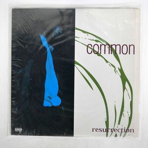 COMMON/RESURRECTION/LOUD 8856112081 LP