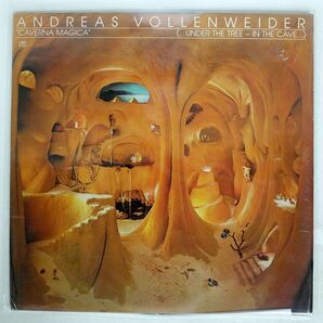 米 ANDREAS VOLLENWEIDER/CAVERNA MAGICA (UNDER THE TREE - IN THE CAVE)/CBS FM37827 LPの画像1