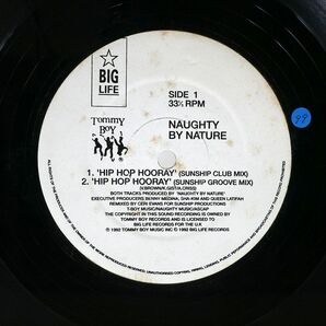 英 NAUGHTY BY NATURE/HIP HOP HOORAY/BIG LIFE BLRT89 12の画像2