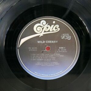 米 WILD CHERRY/SAME/EPIC PE34195 LPの画像2