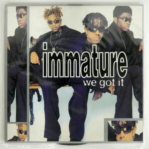 米 IMMATURE/WE GOT IT/MCA MCA11385 LPの画像1