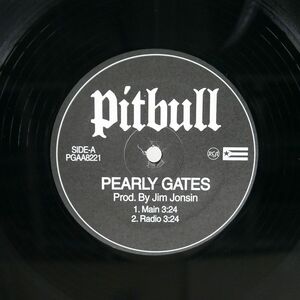 米 プロモ PITBULL/PEARLY GATES SHUT IT DOWN GIRLS ACTIVATED/NOT ON LABEL PGAA8221 12