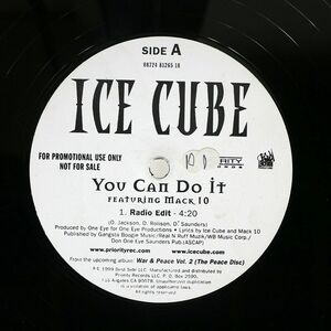 米 プロモ ICE CUBE/YOU CAN DO IT/PRIORITY 087248126518 12