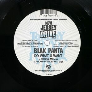 米 BLAK PANTA/DO WHAT U WANT/TOMMY BOY TB674 12の画像2