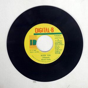 HORACE ANDY/BLESS YOU/DIGITAL B NONE 7 □の画像1