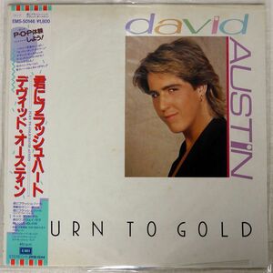 帯付き DAVID AUSTIN/TURN TO GOLD/EMI EMS50146 12