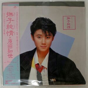 帯付き 原田知世/撫子純情/KADOKAWA 18AH2002 LP