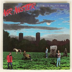 米 MR.MISTER/WELCOME TO THE REAL WORLD/RCA VICTOR AFL17180 LPの画像1