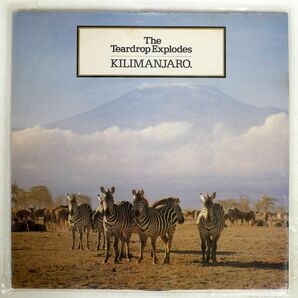 TEARDROP EXPLODES/KILIMANJARO/MERCURY PRICE59 LPの画像1