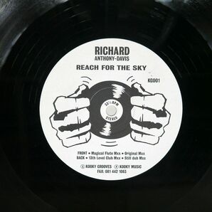 RICHARD ANTHONY DAVIS/REACH FOR THE SKY/KOOKY GROOVES KG001 12の画像1