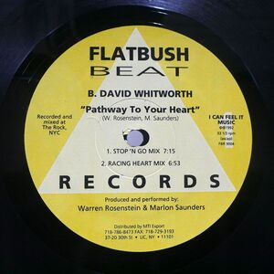 DAVID WHITWORTH/PATHWAY TO YOUR HEART/FLATBUSH BEAT RECORDS FBR 9004 12