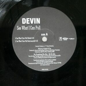 DEVIN THE DUDE/SEE WHAT I CAN PULL / GEORGY/RAP-A-LOT SPRO62394 12の画像1