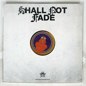 英 ADELPHI MUSIC FACTORY/ELECTRIC ARC FURNACE/SHALL NOT FADE SNF059 12