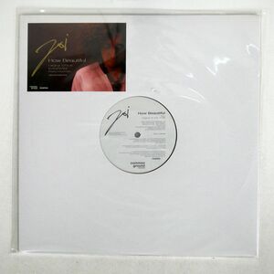 JOI/HOW BEAUTIFUL/COMMON GROUND RECORDINGS CGR006 12