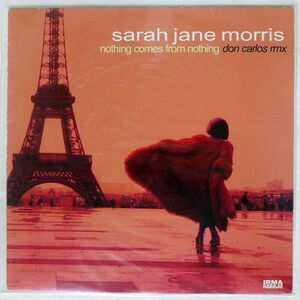 SARAH JANE MORRIS/NOTHING COMES FROM NOTHING (DON CARLOS RMX)/IRMA CASADIPRIMORDINE ICP116 12