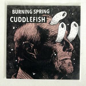 BURNING SPRING/SPLIT-7"/DEBT OFFENSIVE DEBT018 7 □