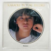 ピクチャー盤 VA/KARAOKE PICTURE RECORD/TECHNICS NAS1034 LP_画像1