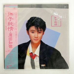 帯付き 原田知世/撫子純情/KADOKAWA 18AH2002 LP