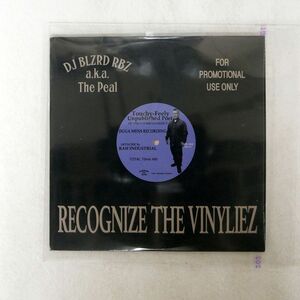 DJ BLZRD RBZ/RECOGNIZE THE VINYLIEZ/JIGGA MENS JMR194 CD □