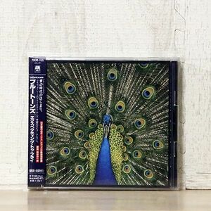 THE BLUETONES/EXPECTING TO FLY/A&M RECORDS POCM1155 CD □