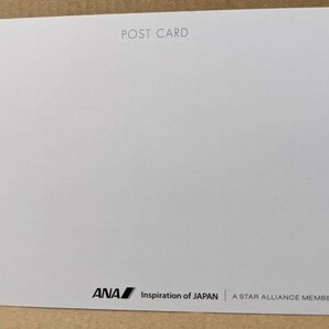 ★ANA★787 ポストカード 絵はがき 全日空 非売品 新品 未使用の画像2
