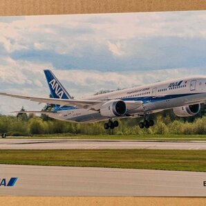 ★ANA★787-9 ポストカード 絵はがき 全日空 非売品 新品 未使用の画像1