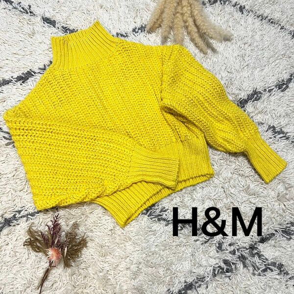 H&M チャンキーニット　エイチアンドエム　XXS ニット　タートルニット セーター タートルネック 長袖