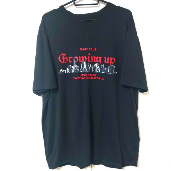 新品 XXL SHEIN 半袖Tシャツ 黒 3L 大きいサイズ 未使用 トップス 半袖 ブラック Tシャツ ビッグサイズ