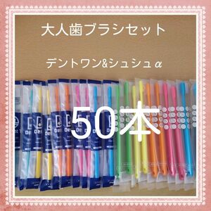 【648】歯科専売　大人歯ブラシ「ふつう50本」